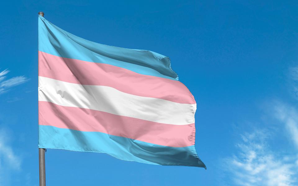 De transgendervlag.