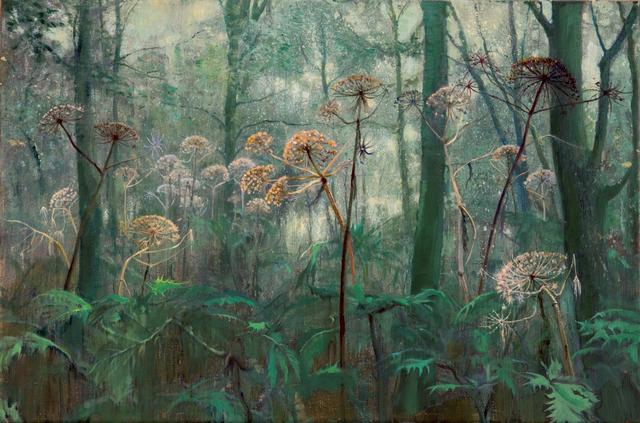 Kijk verder dan je ogen reiken: Rondleiding Gronings Licht