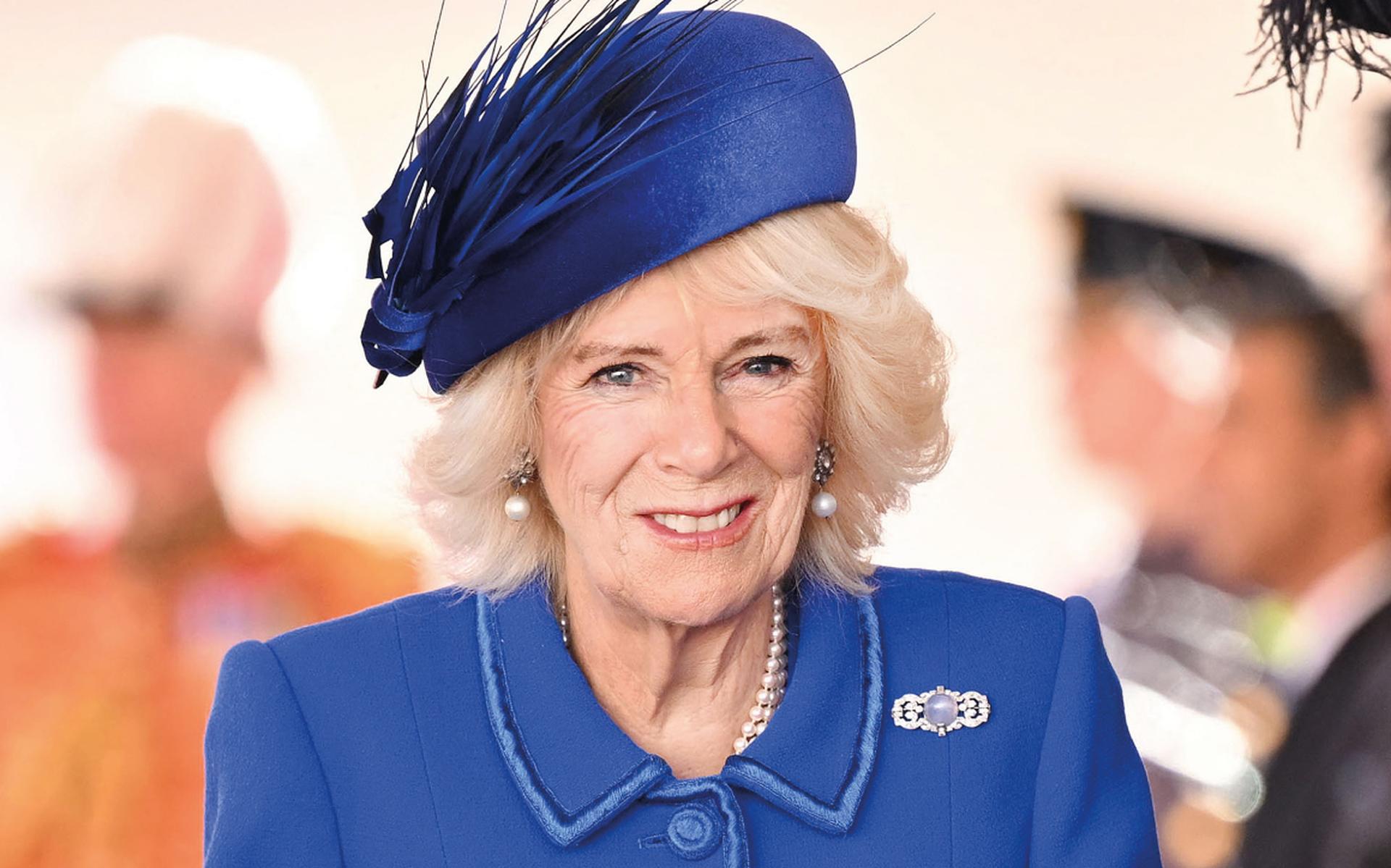 In haar koninklijke rol zet Camilla zich in voor zaken als alfabetisering van kinderen, bijstaan van slachtoffers van huiselijk geweld en het onder de aandacht brengen van osteoporose (botontkalking).