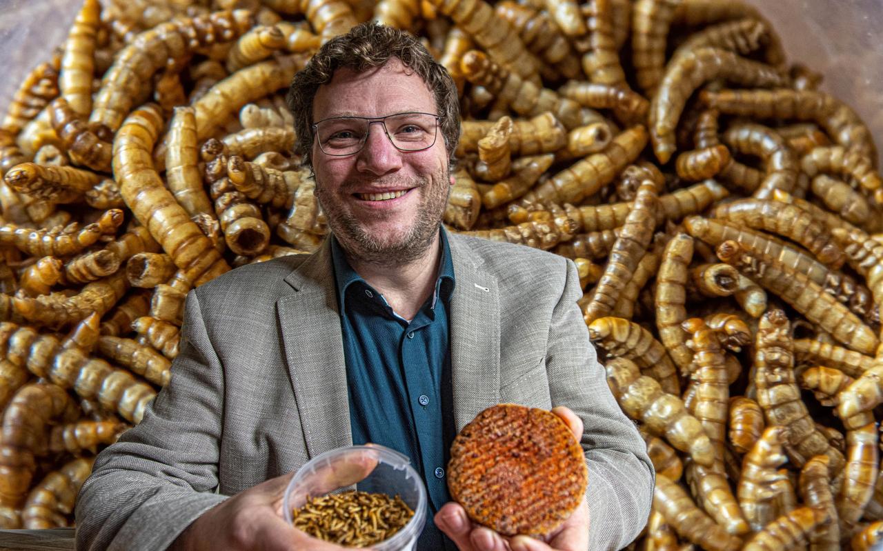 Wouter Simons verwacht dat het verwerken van meelwormen in voedsel een vlucht gaat nemen. Wouter Simons verwacht dat het verwerken van meelwormen in voedsel een vlucht gaat nemen.