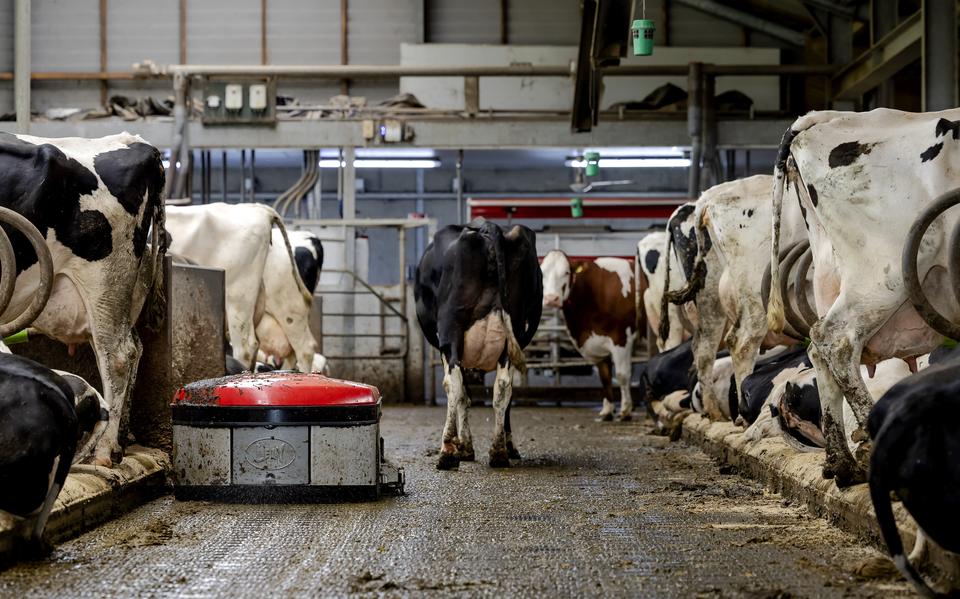 Mest is één van de voornaamste oorzaken van de te hoge stikstofneerslag in de natuur.