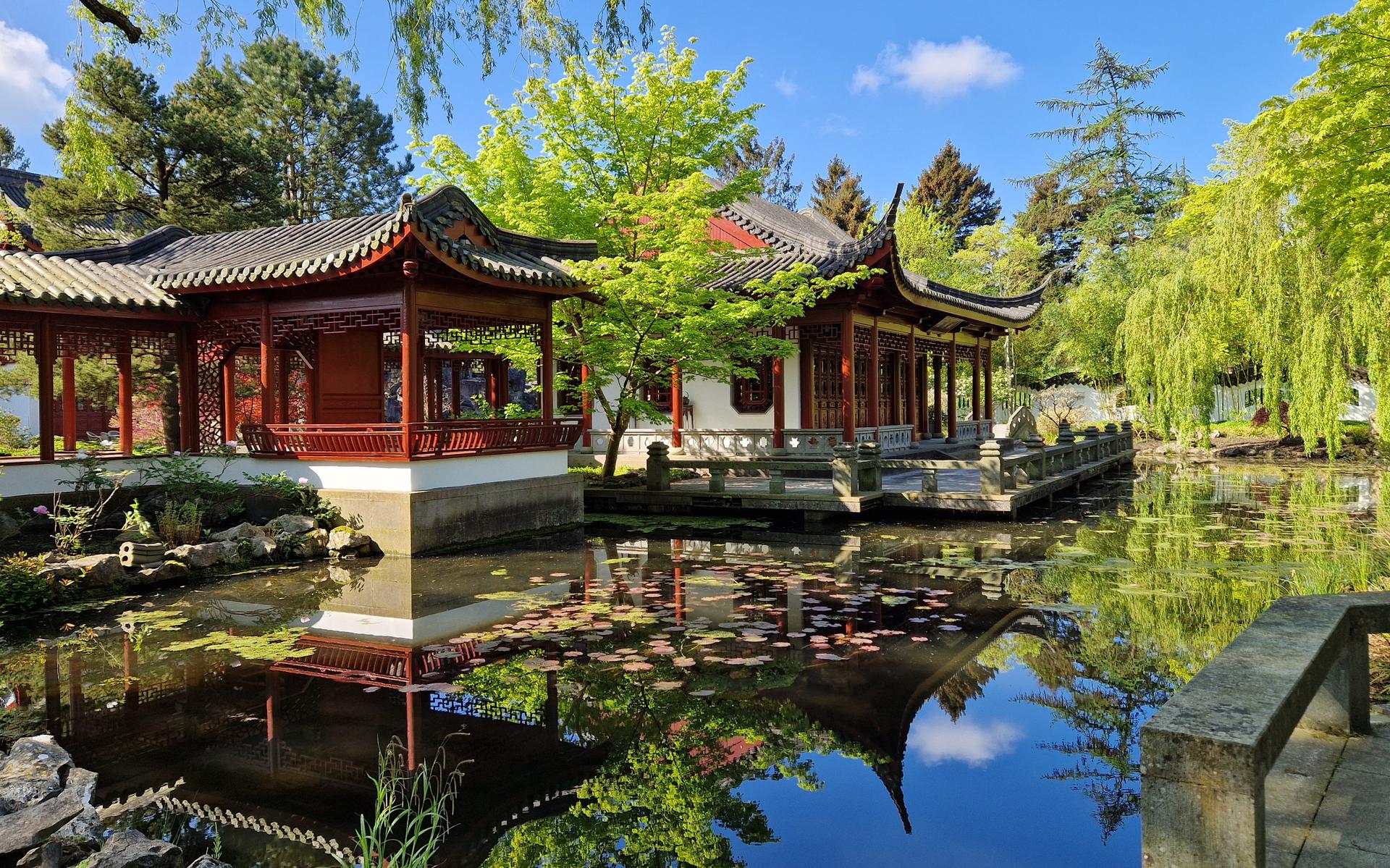 Het paviljoen 'Kijken naar de Vissen' in de Chinese Tuin in Haren.