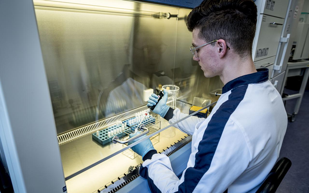 Analyst Theo van Poele aan het werk in het moleculair lab van Certe, waar micro-organismen worden onderzocht, zoals het Corona-virus. Analyst Theo van Poele aan het werk in het moleculair lab van Certe, waar micro-organismen worden onderzocht, zoals het Corona-virus.