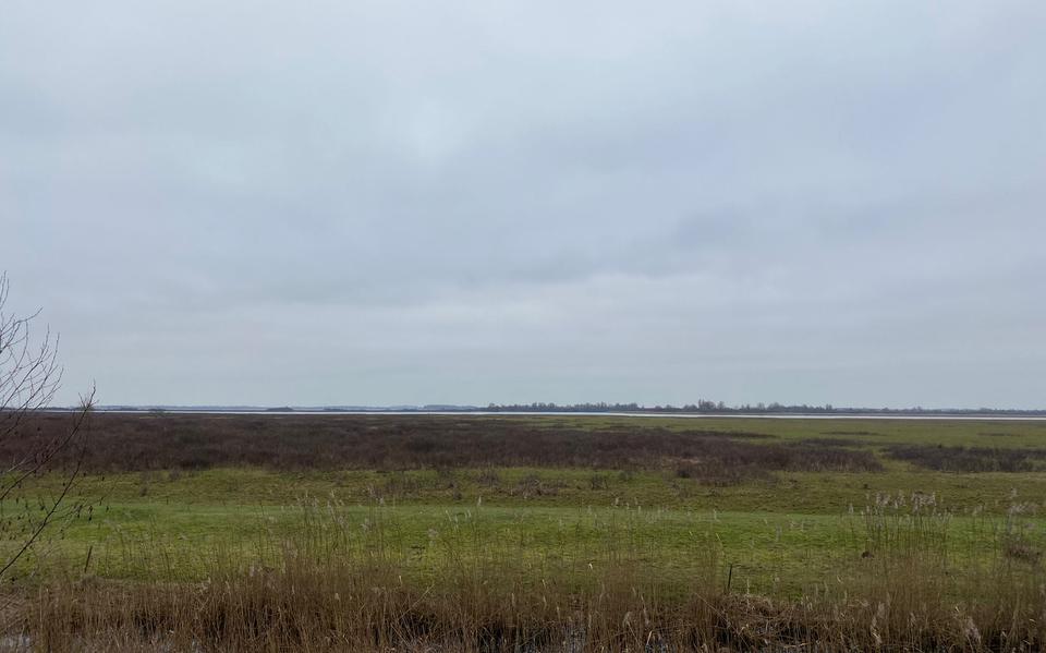 Uitkijkpunt Lauwersmeergebied.