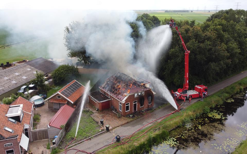 Wat is er aan de hand met de Friese boer Jouke? Boerderij van deelnemer  Boer zoekt Vrouw in Witmarsum dichtgeplakt met landbouwplastic - Dagblad van  het Noorden