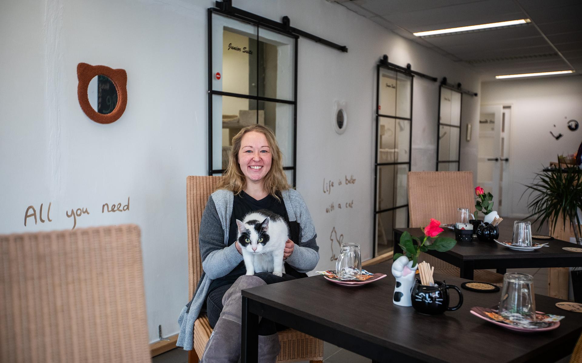 Katten knuffelen en koffie drinken, het kan in het kattenhotel van Marielle (40) in Scheemda. 'Sommi