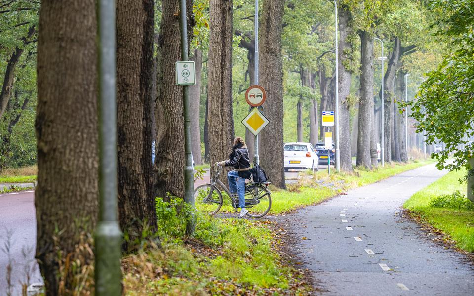 De oversteekplaats op de Asserstraat richting de Tumuliboslaan, waar in 2023 een dodelijk ongeluk plaatsvond.