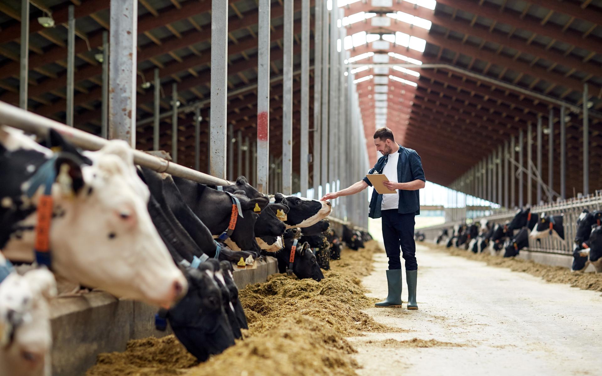 'Innovaties die zorgen voor minder stikstofuitstoot zijn goed, toch?'