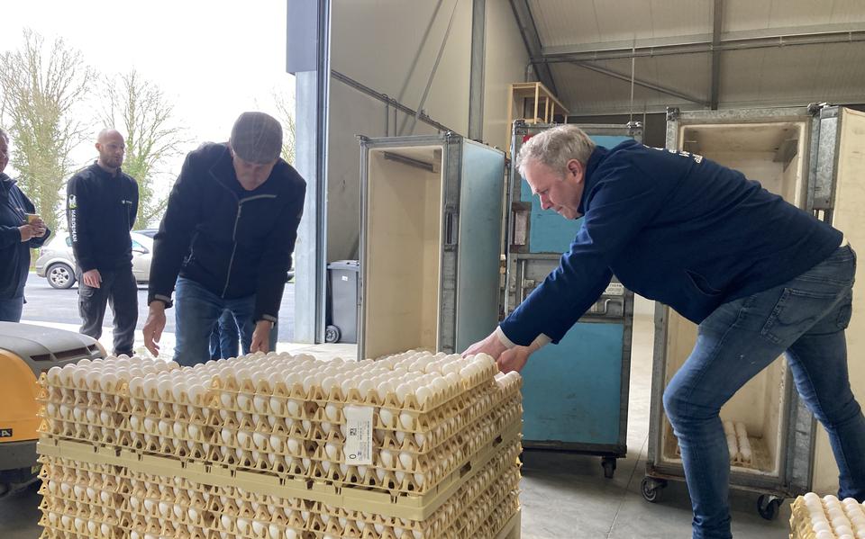 Boer Erik Emmens (rechts) helpt Andries Hakkert van de Voedselbank met het inladen van de eieren. Op de achtergrond kippenboer Wilrik Zondervan.