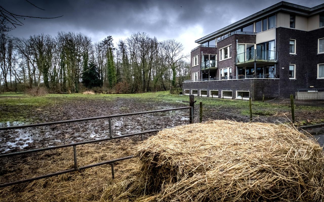 Rondom het bosje waar ooit de Thedemaborg stond verrijst een nieuw woonwijkje. Rondom het bosje waar ooit de Thedemaborg stond verrijst een nieuw woonwijkje.