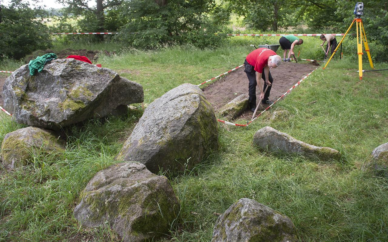 Hoogleraar archeologie Daan Raemaekers maakt met studenten de grond bij het hunebed nabij Valthe klaar voor archeologisch onderzoek. Hoogleraar archeologie Daan Raemaekers maakt met studenten de grond bij het hunebed nabij Valthe klaar voor archeologisch onderzoek.