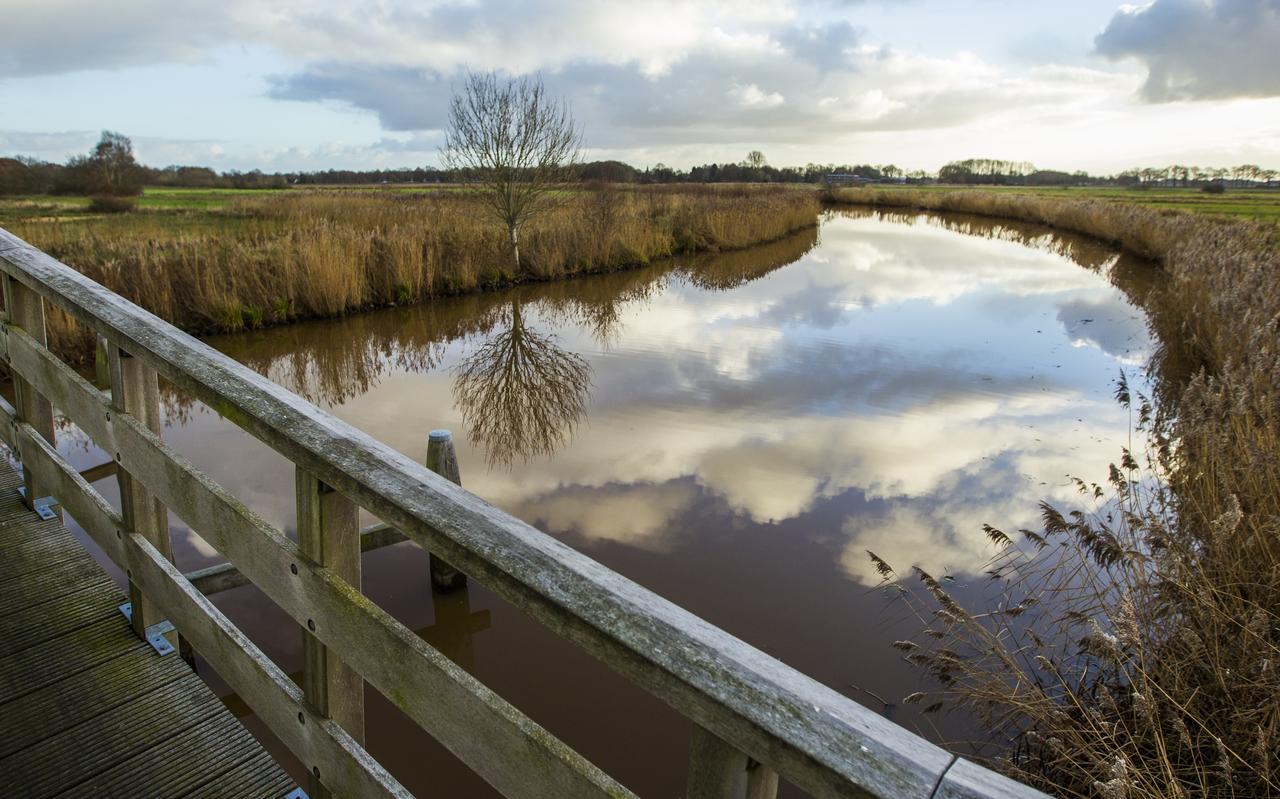 In de Westerwoldse Aa gaat het inmiddels veel beter met de paling en andere soorten. In de Westerwoldse Aa gaat het inmiddels veel beter met de paling en andere soorten.