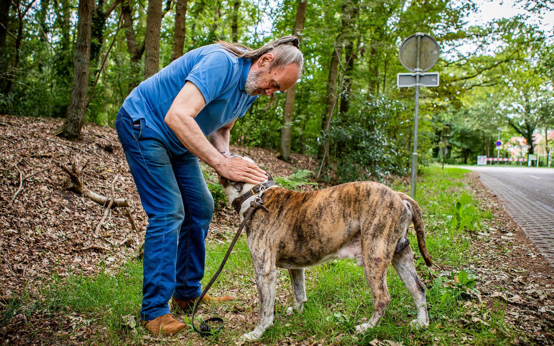 Peste da zecche a Westerwolde, malattia di Lyme in progressione: ‘Sono animali marci’