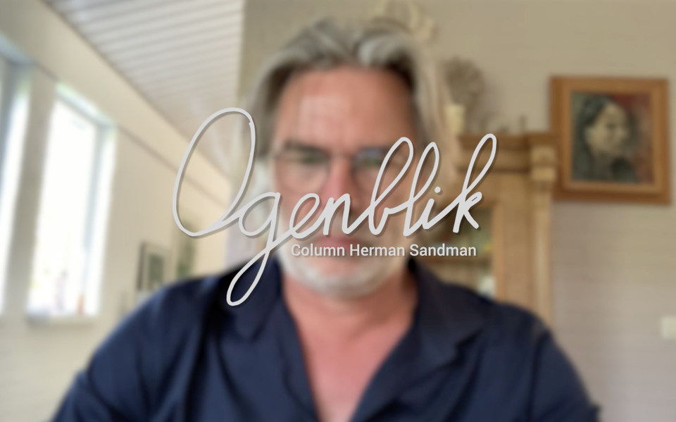 Video: Herman Sandman