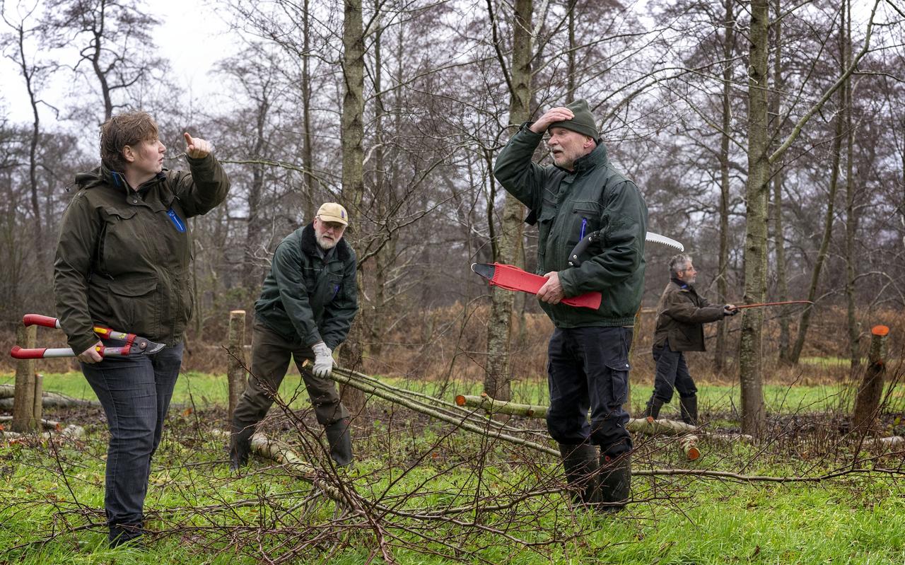 Aan het werk op havezate De Klencke met de singels. V.l.n.r. Marike van der Paauw, Theo Compagner, Johan van der Haar en Leo Claessens. Aan het werk op havezate De Klencke met de singels. V.l.n.r. Marike van der Paauw, Theo Compagner, Johan van der Haar en Leo Claessens.