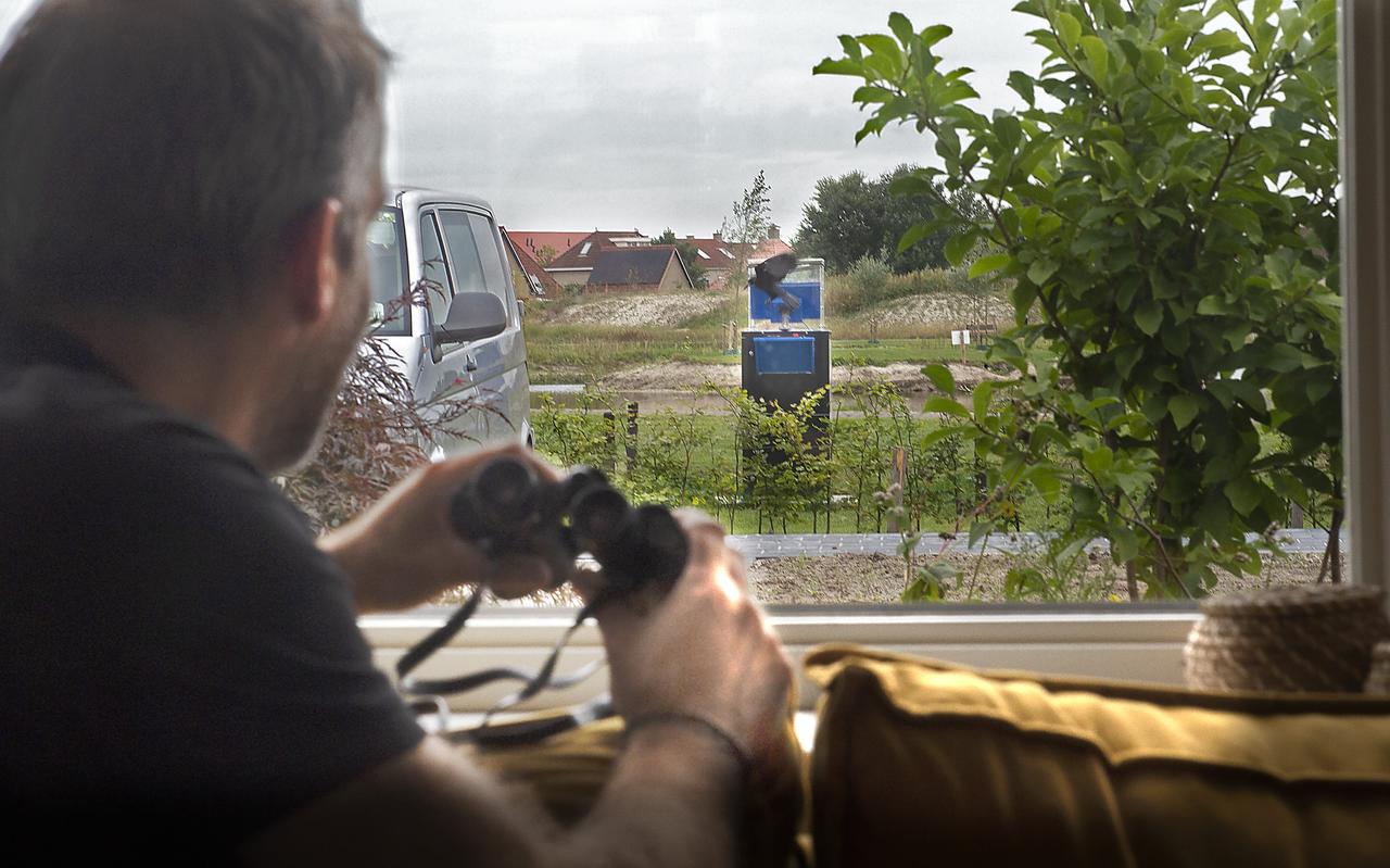 Vanuit het raam van zijn woning bekijkt Gijs-Peter Kuijpers de kraaien bij de Crowbuddy. Vanuit het raam van zijn woning bekijkt Gijs-Peter Kuijpers de kraaien bij de Crowbuddy.