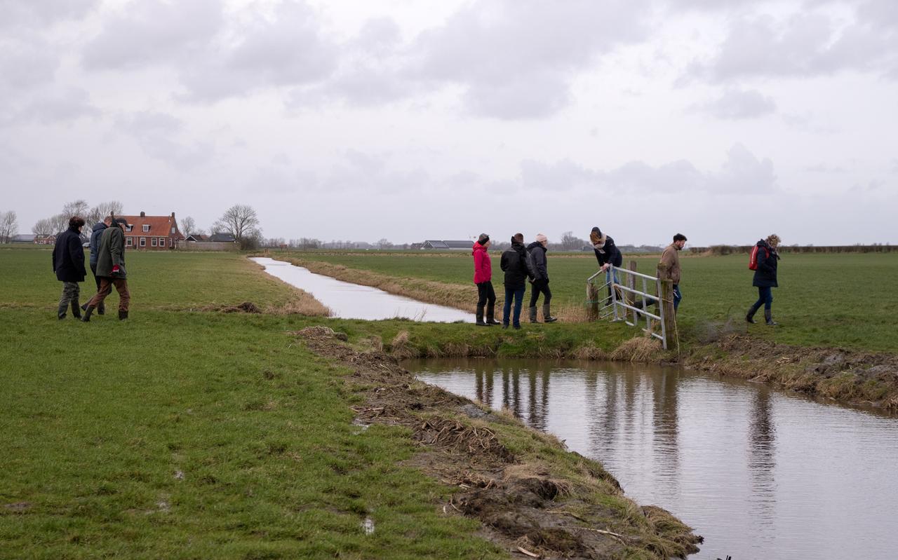 Boeren en bezoekers in de Medenertilsterpolder die volgens veel boeren al nat genoeg is en volgens Het Groninger Landschap nog lang niet nat genoeg om weidevogels te bekoren. Boeren en bezoekers in de Medenertilsterpolder die volgens veel boeren al nat genoeg is en volgens Het Groninger Landschap nog lang niet nat genoeg om weidevogels te bekoren.