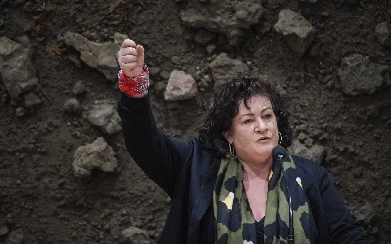 Caroline van der Plas (BBB) tijdens een debat over het stikstofbeleid. Caroline van der Plas (BBB) tijdens een debat over het stikstofbeleid.