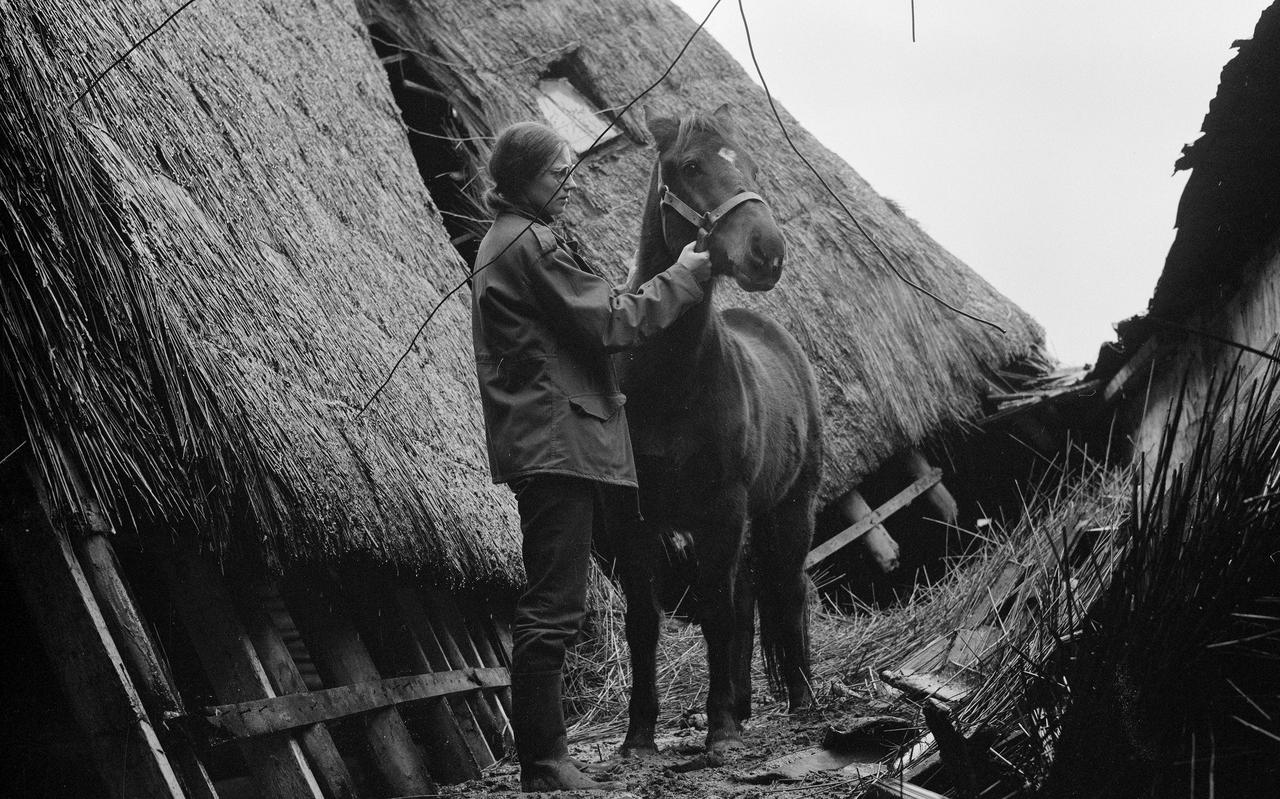 Marga Hegeman van Martini Manege met een pony tussen de resten van het ingestorte dak van de schuur.