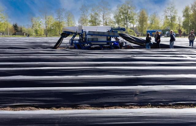 Robot 'Keessie' rookt niet, klaagt niet en redt aspergekwekerij Weiland uit Zuidwolde. 'Als ik deze 