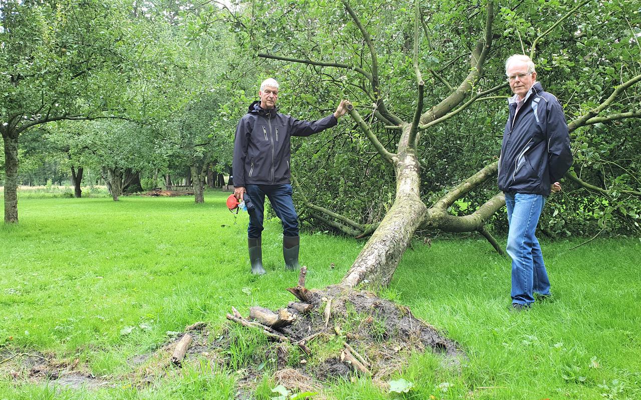 Henk Blouw (l) en Paul Herwig bij de appelboom die door vandalen is neergehaald.