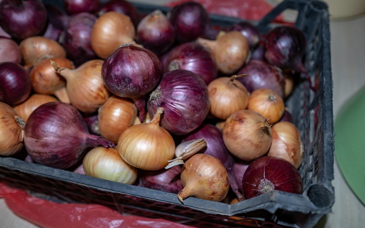 Foto: Shutterstock Foto: Shutterstock