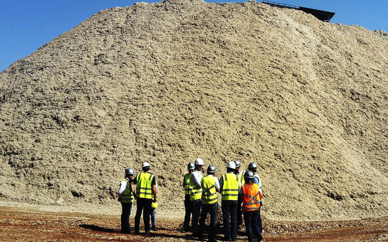 Suikerrietresten lenen zich uitstekend voor het maken van pellets voor energiecentrales. Suikerrietresten lenen zich uitstekend voor het maken van pellets voor energiecentrales.