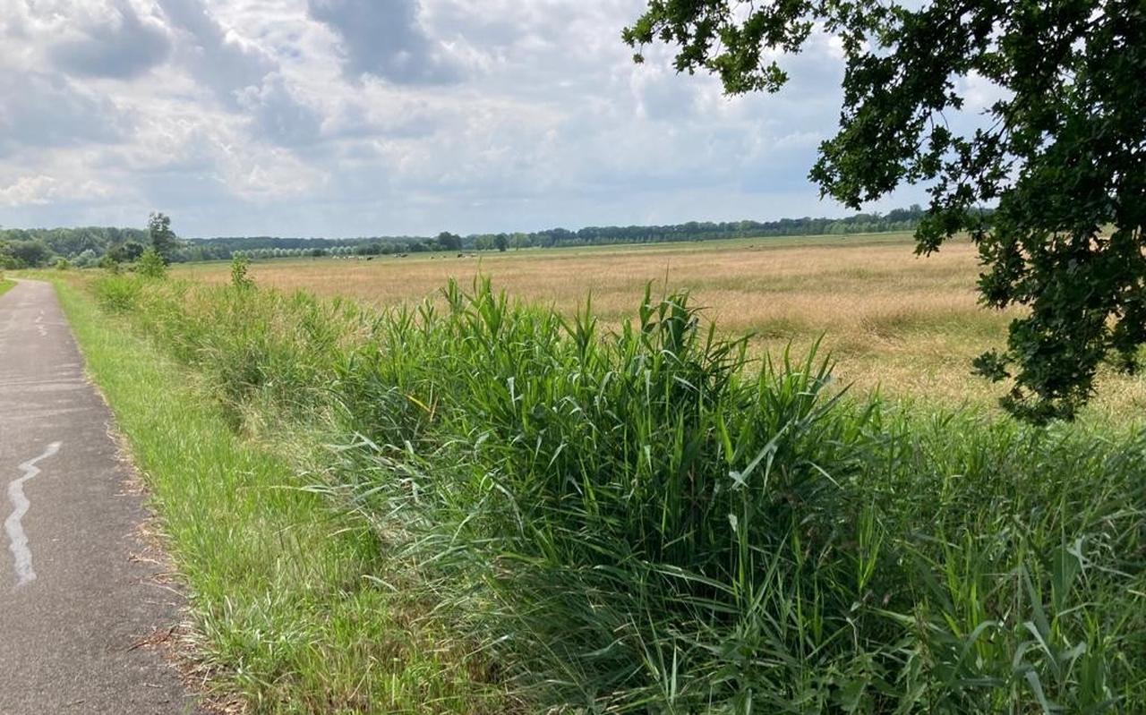 Fietsen in het Westerkwartier: weids veld en gene mens te bekennen. Fietsen in het Westerkwartier: weids veld en gene mens te bekennen.
