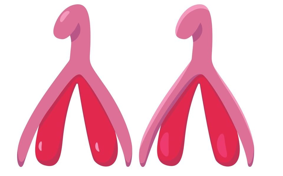 Sexpert Maartje Tempel geeft seksuele voorlichting op scholen en begint haar lessen met een tekenwedstrijd. Wie weet hoe een clitoris eruitziet? 