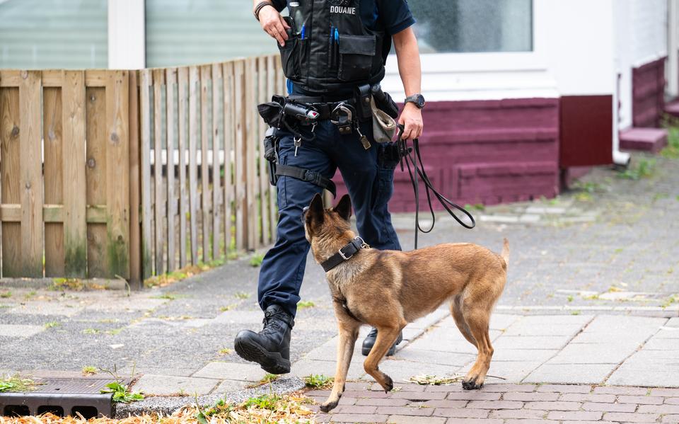 De politie en douane hebben een inval gedaan in een pand in Sappemeer. 
