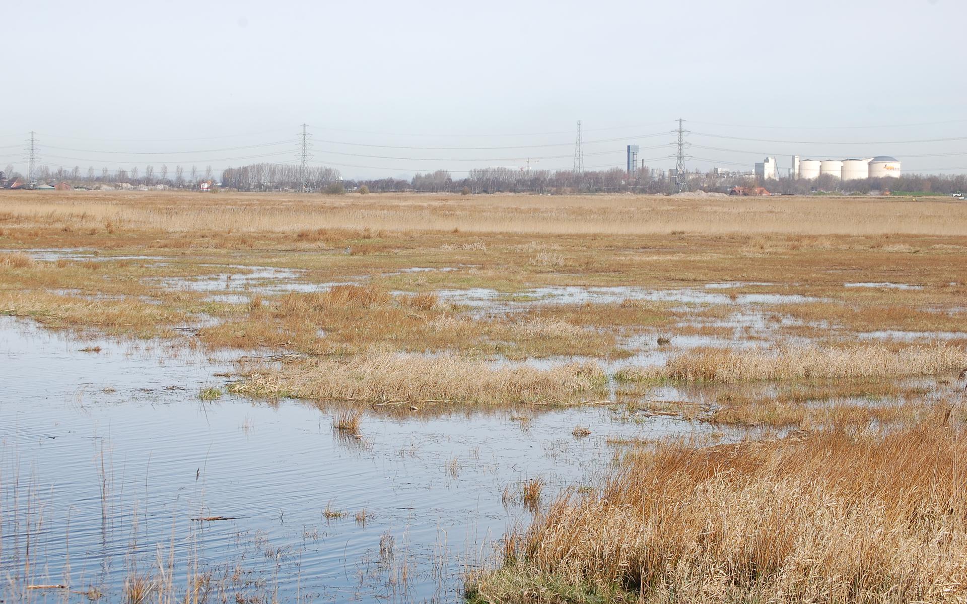 Waterbeheersing wordt steeds belangrijker. Een pakket maatregelen moet wateroverlast, droogte en het risico op overstroming in de regio Groningen/Noord-Drenthe beperken. Foto: Provincie Groningen