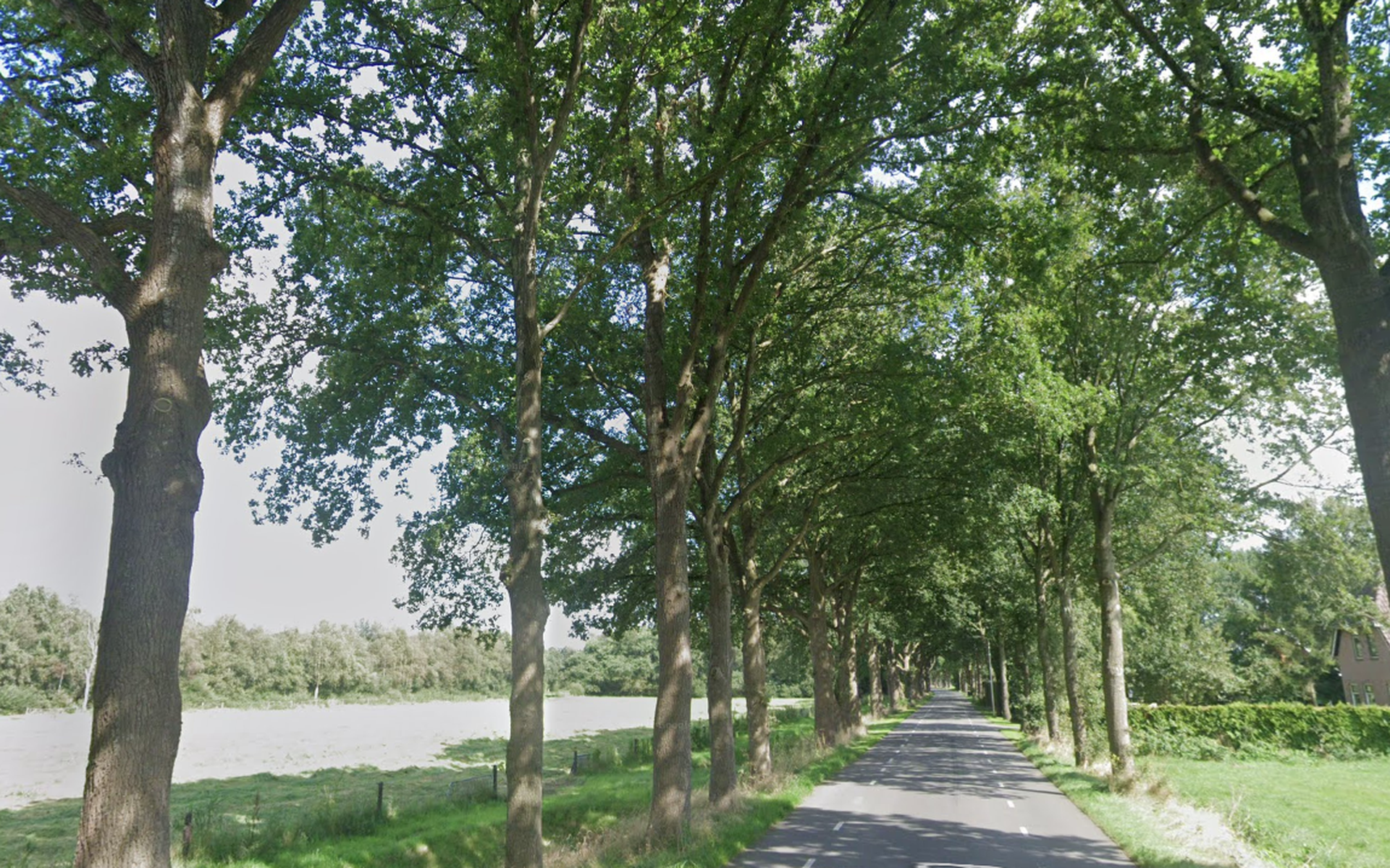De Berkmeerweg in Dalerpeel.