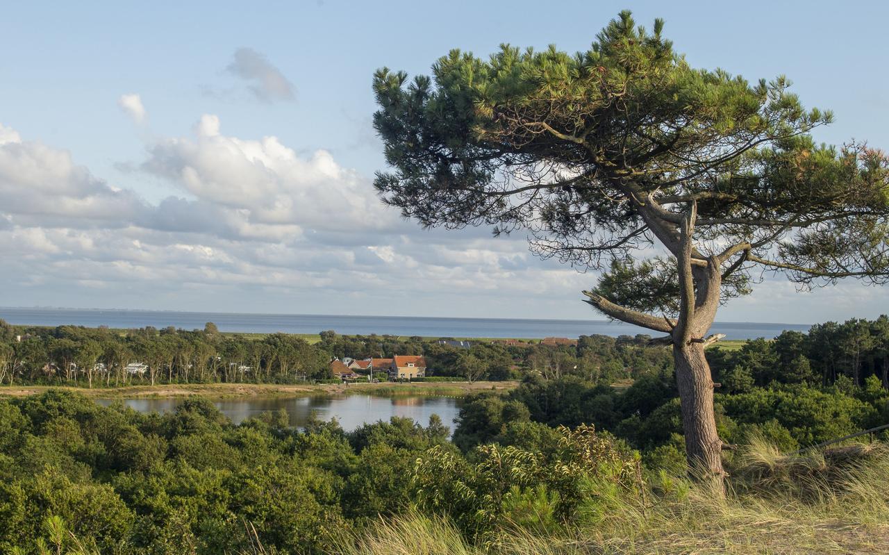 Het festivalterrein komt volgens de verleende natuurvergunning ten noorden van het buurtschap Hee. Het festivalterrein komt volgens de verleende natuurvergunning ten noorden van het buurtschap Hee.