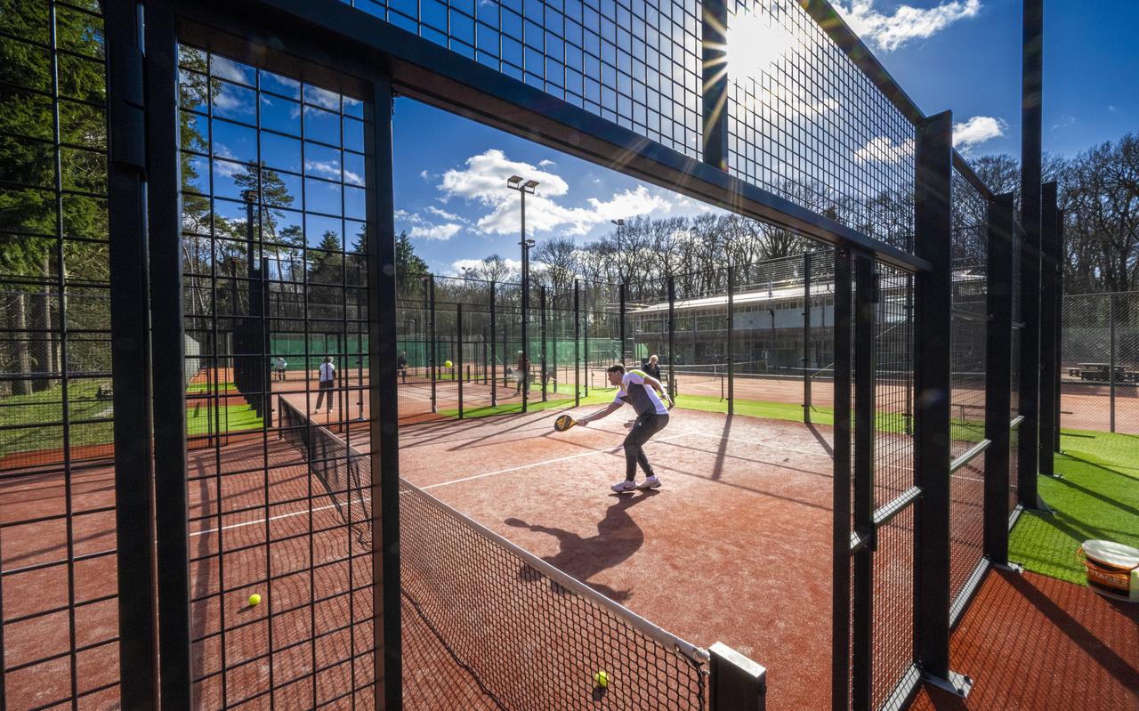 Padelbanen in Assen. Padelbanen in Assen.