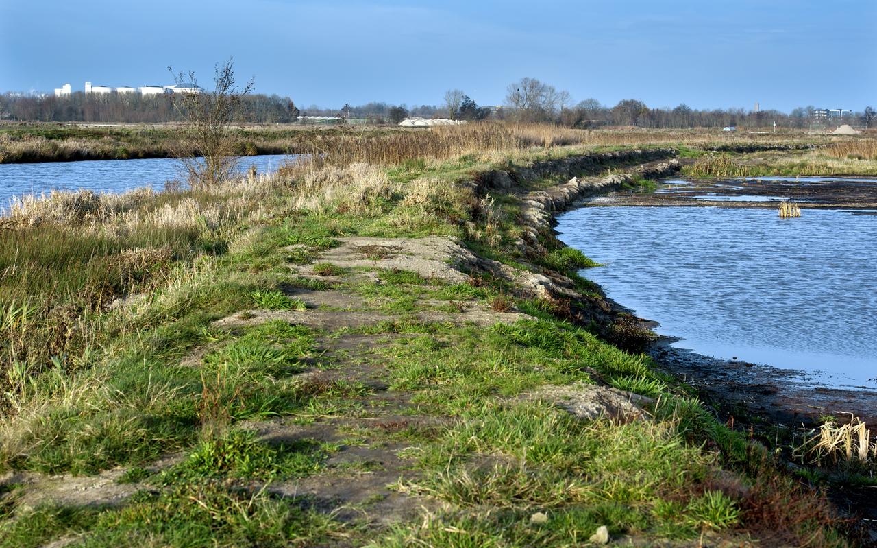 Inwoners van Groningen hebben het geluk dat er overal rondom de stad fraaie landschappen en natuurgebieden te bewonderen zijn, zoals de Onlanden op deze foto. Inwoners van Groningen hebben het geluk dat er overal rondom de stad fraaie landschappen en natuurgebieden te bewonderen zijn, zoals de Onlanden op deze foto.