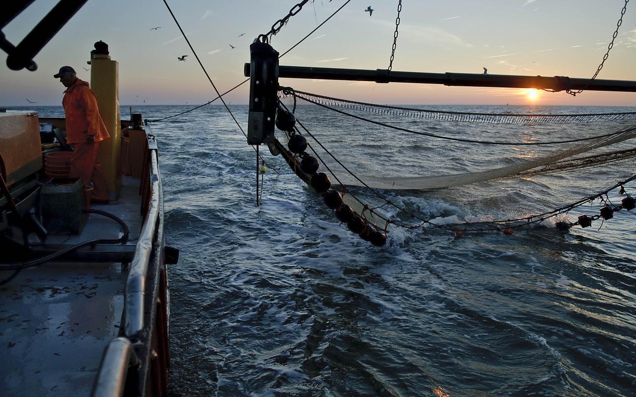 Garnalenvissen op de Waddenzee. Heiko Rispens op de ZK18. Garnalenvissen op de Waddenzee. Heiko Rispens op de ZK18.