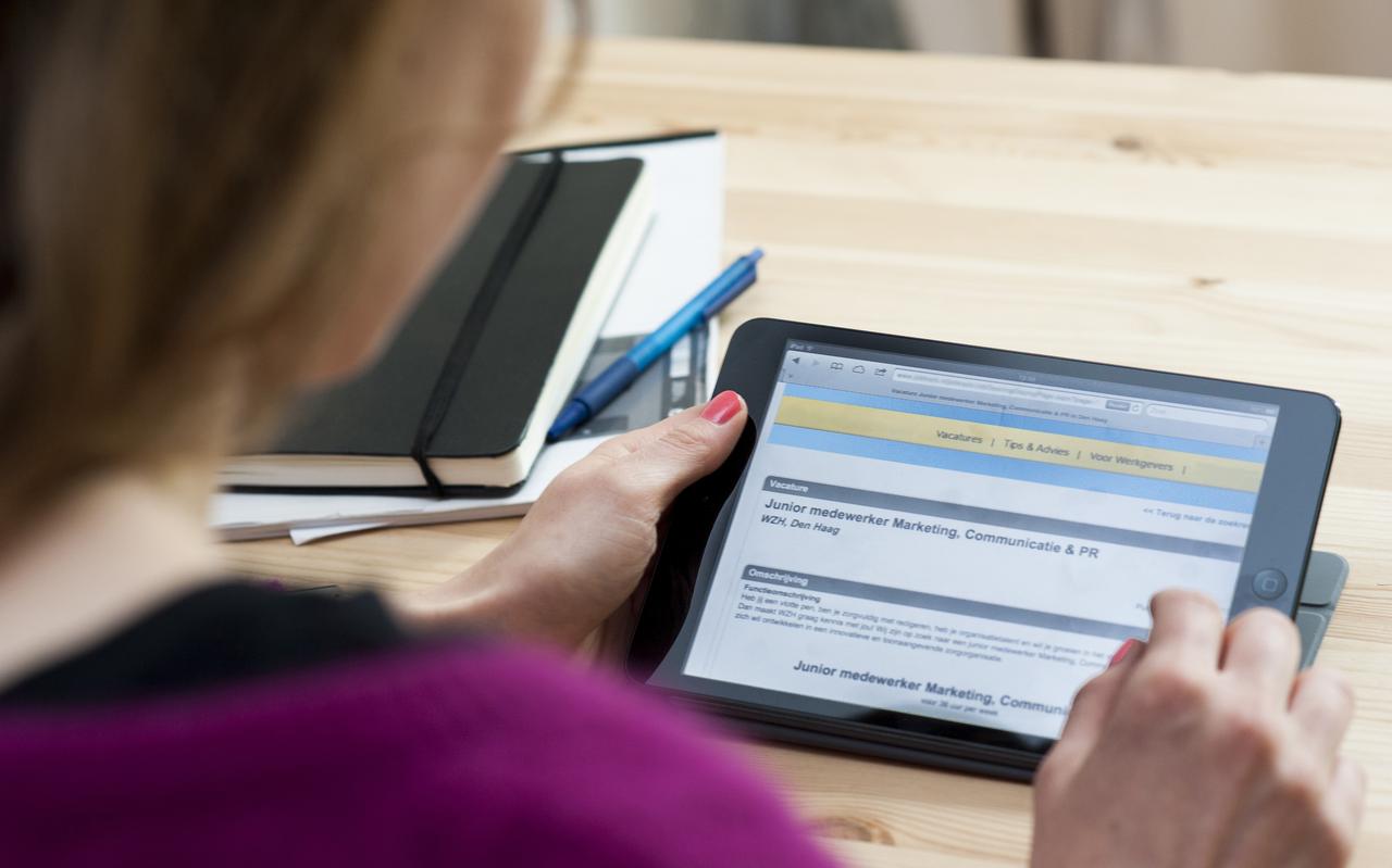 Een goede cv sluit aan op de vacature. Een goede cv sluit aan op de vacature.