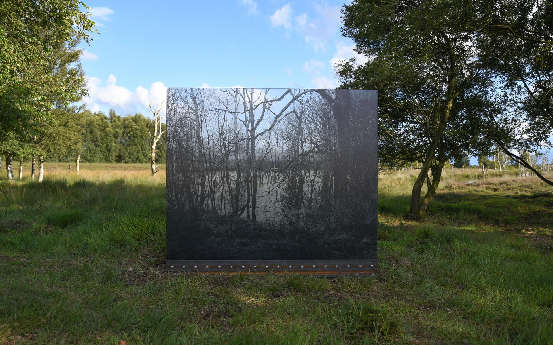 Thousands a second a year, een werk van Awoiska van der Molen uit Into Nature van 2021.