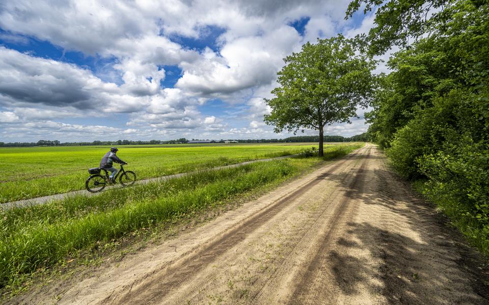 Het zandpad tussen Ter Aard en Zeijen (Rheeërweg). 