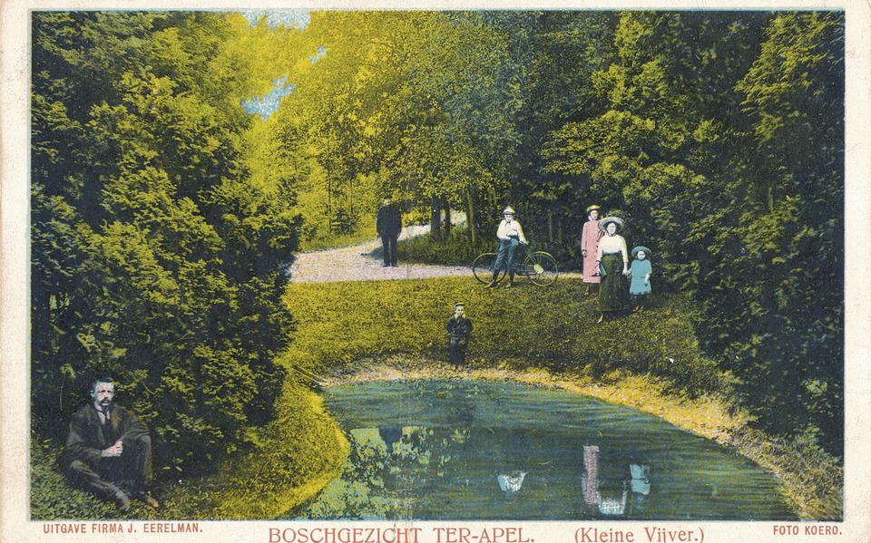 Een oude ansicht van het Kloosterbos toen het nog een park was.