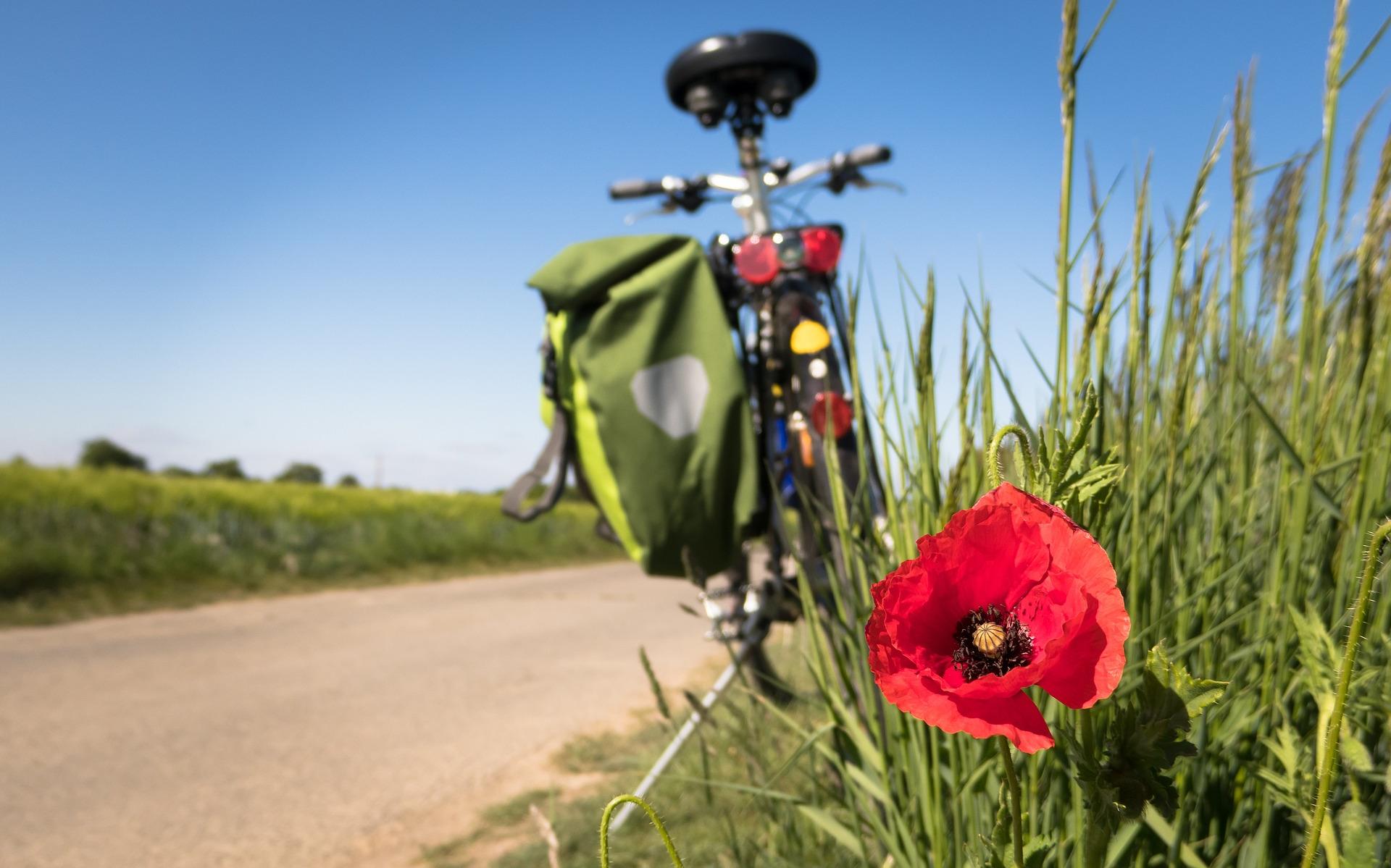 Leerzame fietstocht op Hemelvaartsdag in en om Zuidbroek.