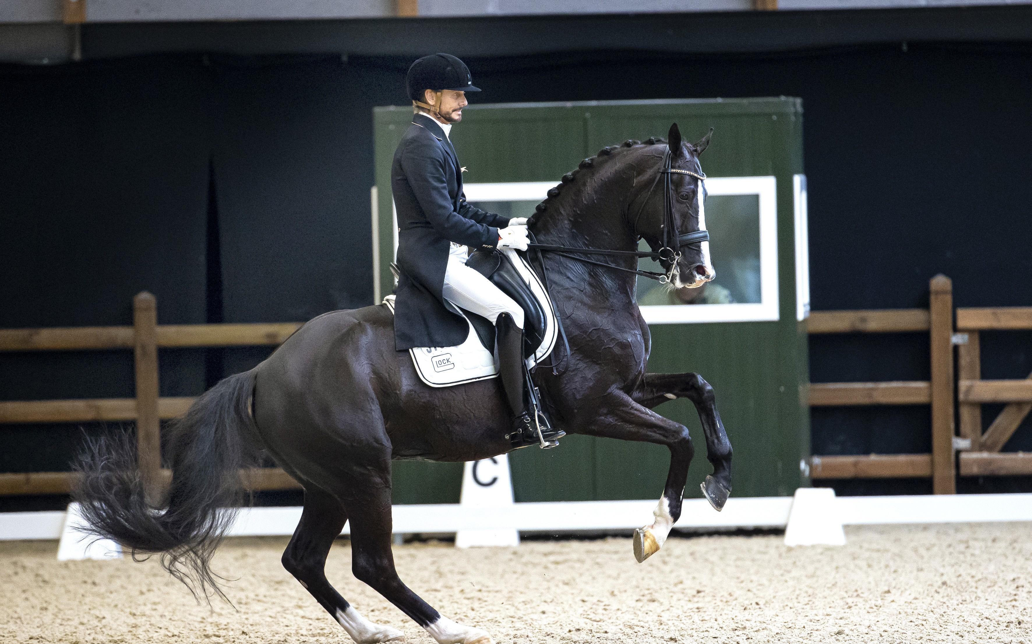 Dressuurruiter Edward Gal slaat dubbelslag in manege Tolbert - Dagblad van het Noorden