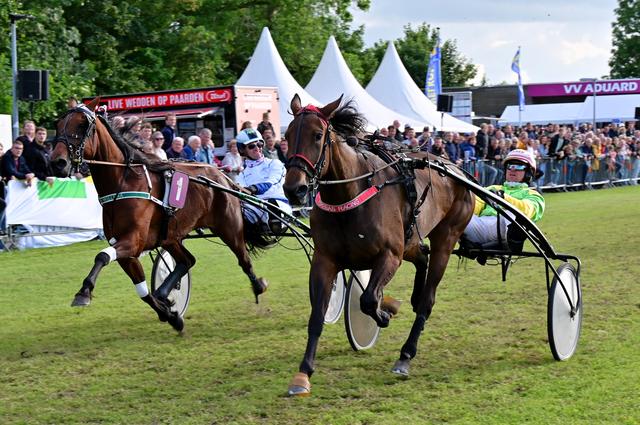 De paarden gaan eind juni weer draven in Aduard