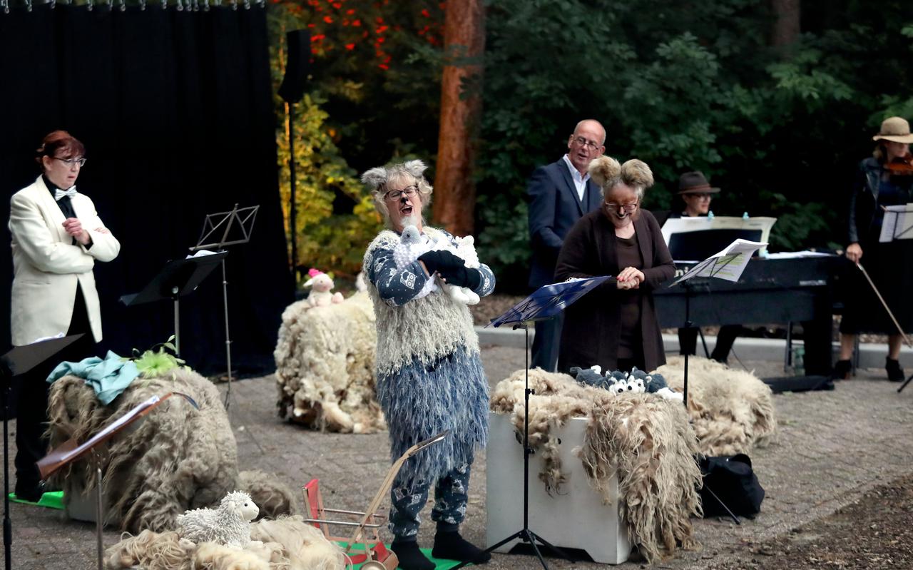 De acteurs konden zich niet beroepen op blatende inmenging van schapen. De entourage werd nu ingevuld door een aantal schapenvachten.
