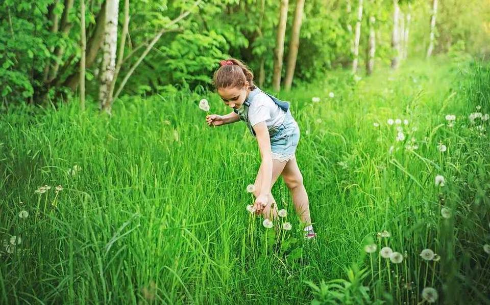 Een lange broek aantrekken als je de natuur ingaat is geen overbodige luxe.
