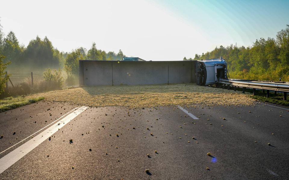 Op de Duitse weg B402 is dinsdagochtend een Nederlandse vrachtwagen gekanteld die was geladen met gesneden patat.