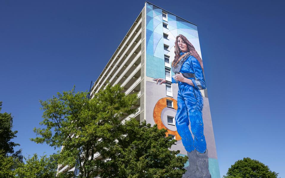 Een gigantische muurschildering van Liana Engibarjan siert de Dijkzichtflat in Delfzijl.