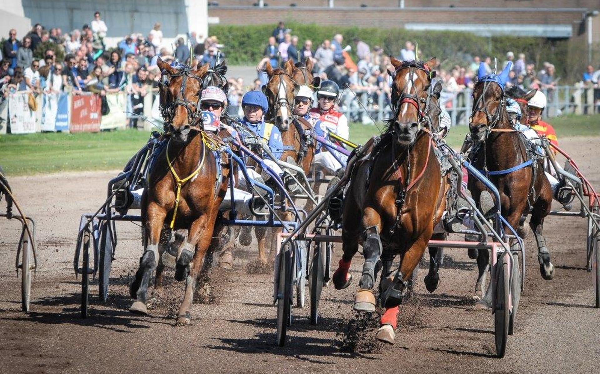 De besturen van de grasdrafbanen in Aduard en Eenrum organiseren in 2022 elk een koersdag en hebben clubleden nodig om de evenementen te bekostigen.