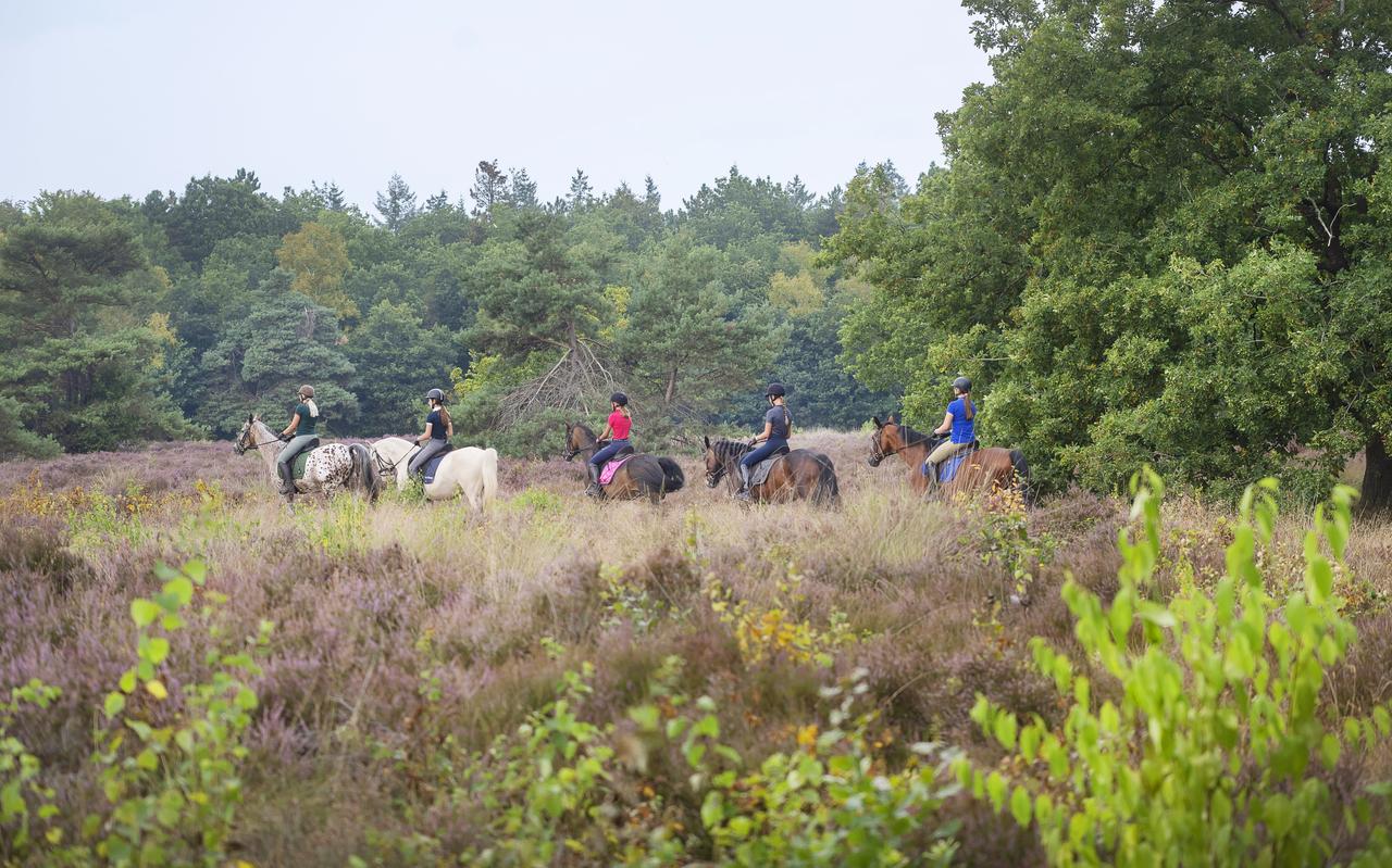 Ruiters in een natuurgebied