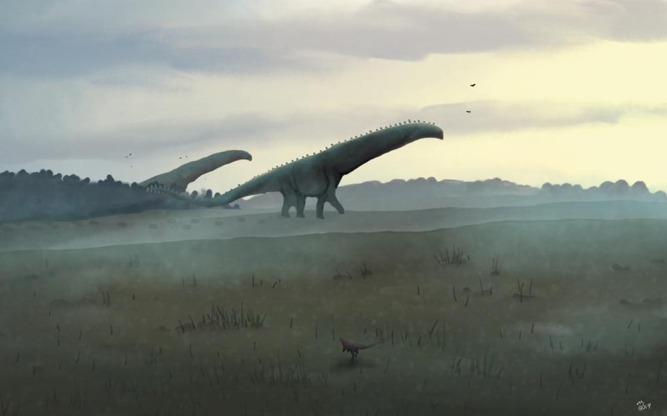 's Werelds grootste dinosauriër is voor het eerst in een museum in